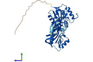 Protein Structure (PS) image for NIF3 NGG1 Interacting Factor 3-Like 1 (NIF3L1) (AA 1-377) protein (His tag) (ABIN7549833)