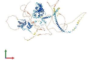 Protein Structure (PS) image for SWI/SNF Related, Matrix Associated, Actin Dependent Regulator of Chromatin, Subfamily C, Member 1 (SMARCC1) (AA 1-1104) protein (His tag) (ABIN7563559)