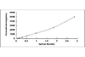 Typical standard curve (Claudin 1 ELISA 试剂盒)