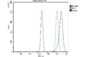 Flow Cytometry analysis of U20S cells using anti-PDIA5 antibody (ABIN7601801).