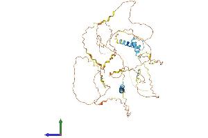 Protein Structure (PS) image for Family with Sequence Similarity 149, Member B1 (FAM149B1) (AA 1-578) protein (His tag) (ABIN7557954)
