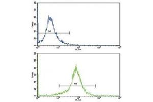 Flow cytometric analysis of K562 cells using SOD3 antibody (green) compared to a negative control (blue). (SOD3 抗体  (AA 7-36))