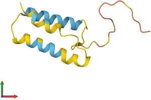 Protein Structure (PS) image for Bladder Cancer Associated Protein (BLCAP) (AA 1-87) protein (Fc Tag) (ABIN7552767)