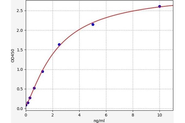 LC3B ELISA 试剂盒