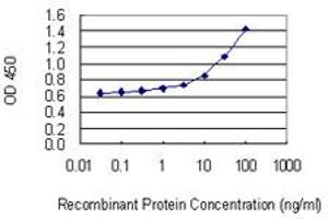 Detection limit for recombinant GST tagged ACD is 0. (ACD 抗体  (AA 1-544))