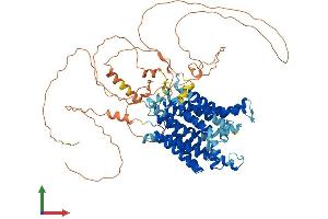 AlphaFold protein structure predicition of Human Recombinant SLC45A4 Protein, UniprotID Q5BKX6