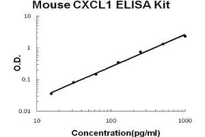 ELISA image for Chemokine (C-X-C Motif) Ligand 1 (Melanoma Growth Stimulating Activity, Alpha) (CXCL1) ELISA Kit (ABIN411393)