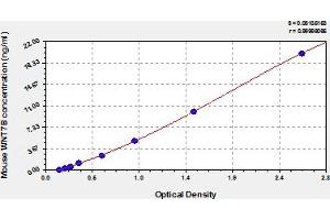 Typical Standard Curve (WNT7B ELISA 试剂盒)