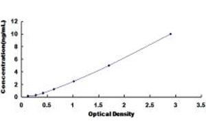 Typical standard curve (DHODH ELISA 试剂盒)