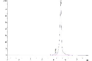 The purity of Human CD5L is greater than 95 % as determined by SEC-HPLC. (CD5L Protein (AA 20-347) (His tag))