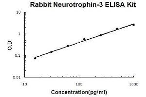 Rabbit Neurotrophin-3 PicoKine ELISA Kit standard curve (Neurotrophin 3 ELISA 试剂盒)