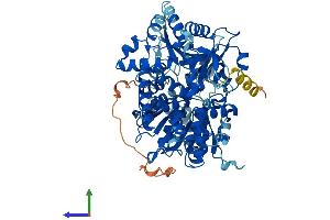 AlphaFold protein structure predicition of Human Recombinant DHX35 Protein, UniprotID Q9H5Z1 (DHX35 Protein (AA 1-703) (His tag))
