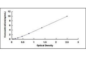 Typical standard curve (Filensin ELISA 试剂盒)