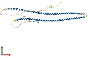 Protein Structure (PS) image for Peripherin (PRPH) (AA 1-470) protein (His tag) (ABIN7550691)