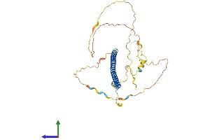 Protein Structure (PS) image for Jun D Proto-Oncogene (JUND) (AA 1-341) protein (His tag) (ABIN7562882)