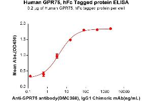 ELISA image for G Protein-Coupled Receptor 75 (GPR75) (AA 1-46) protein (Fc Tag) (ABIN7490707)