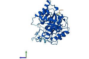 Protein Structure (PS) image for Aldo-Keto Reductase Family 1, Member C3 (3-alpha Hydroxysteroid Dehydrogenase, Type II) (AKR1C3) (AA 1-323) protein (His tag) (ABIN7552015)