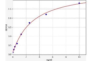 S100 Calcium Binding Protein A10 (S100A10) ELISA Kit