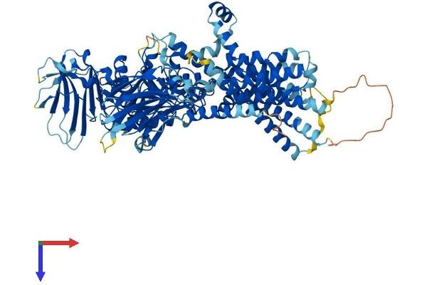 PGAP1 Protein (AA 1-922) (His tag)