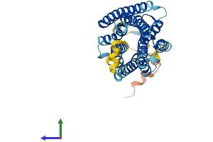 Protein Structure (PS) image for Gonadotropin-Releasing Hormone Receptor (GNRHR) (AA 1-327) protein (His tag) (ABIN7556863)