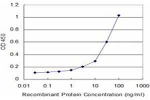 Detection limit for recombinant GST tagged NOV is approximately 1ng/ml as a capture antibody. (NOV 抗体  (AA 1-357))