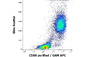 Flow cytometry surface staining pattern of human peripheral whole blood stained using anti-human CD88 (S5/1) purified antibody (concentration in sample 3 μg/mL, GAM APC). (C5AR1 抗体  (AA 15-27))