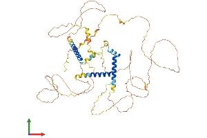 AlphaFold protein structure predicition of Mouse Recombinant Slain2 Protein, UniprotID Q8CI08