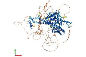 Protein Structure (PS) image for GTPase Activating Protein and VPS9 Domains 1 (GAPVD1) (AA 1-1478) protein (His tag) (ABIN7553986)