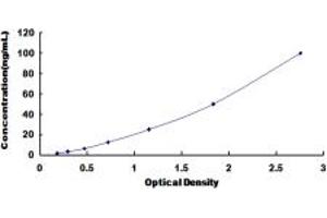 Typical standard curve (GSTa2 ELISA 试剂盒)