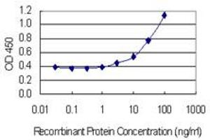 Detection limit for recombinant GST tagged RGMA is 1 ng/ml as a capture antibody. (RGMA 抗体  (AA 326-423))