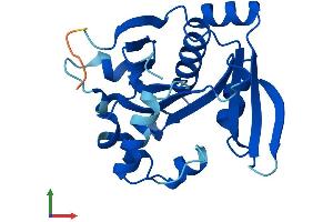AlphaFold protein structure predicition of Human Recombinant NAT9 Protein, UniprotID Q9BTE0