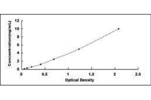 ELISA image for Signal Transducer and Activator of Transcription 3 (Acute-Phase Response Factor) (STAT3) ELISA Kit (ABIN414802)