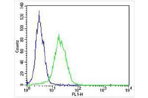 Overlay histogram showing HT-29 cells stained with (ABIN6242830 and ABIN6577992) (green line). (Sonic Hedgehog 抗体  (N-Term))