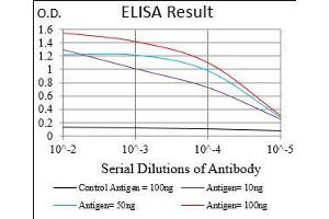 Black line: Control Antigen (100 ng), Purple line: Antigen(10 ng), Blue line: Antigen (50 ng), Red line: Antigen (100 ng), (SMCP 抗体  (AA 1-116))