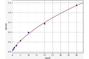 Typical standard curve (Coagulation Factor X ELISA 试剂盒)