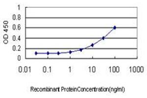 Detection limit for recombinant GST tagged NODAL is approximately 0. (Nodal 抗体  (AA 275-346))