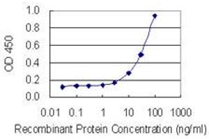 Detection limit for recombinant GST tagged PLG is 1 ng/ml as a capture antibody. (PLG 抗体  (AA 21-120))