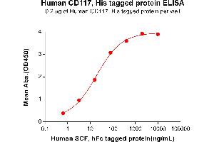 ELISA image for Mast/stem Cell Growth Factor Receptor (KIT) (AA 26-520) protein (His tag) (ABIN6964116)