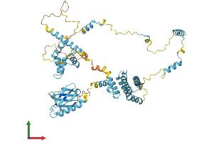 Protein Structure (PS) image for General Transcription Factor IIH, Polypeptide 1, 62kDa (GTF2H1) (AA 1-547) protein (His tag) (ABIN7561269)