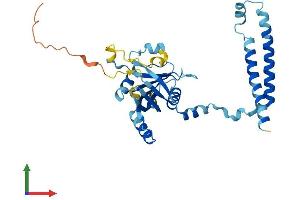 Protein Structure (PS) image for Proteasome (Prosome, Macropain) 26S Subunit, Non-ATPase, 14 (PSMD14) (AA 1-310) protein (His tag) (ABIN7562336)