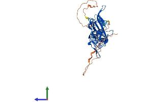 Protein Structure (PS) image for Potassium Inwardly-Rectifying Channel, Subfamily J, Member 14 (KCNJ14) (AA 1-434) protein (His tag) (ABIN7559397)
