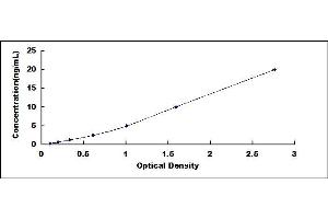 Typical standard curve (Sucrase Isomaltase ELISA 试剂盒)