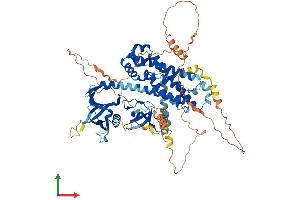 AlphaFold protein structure predicition of Human Recombinant NGEF Protein, UniprotID Q8N5V2