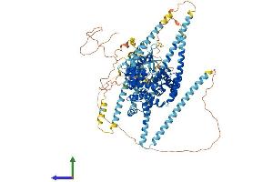 AlphaFold protein structure predicition of Mouse Recombinant Tbc1d2 Protein, UniprotID B1AVH7