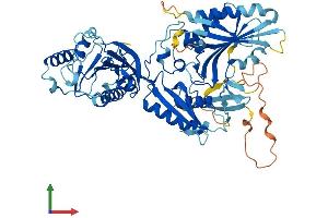 AlphaFold protein structure predicition of Mouse Recombinant Fdxacb1 Protein, UniprotID Q3UY23