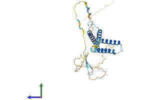 Protein Structure (PS) image for Hes Family bHLH Transcription Factor 1 (HES1) (AA 1-280) protein (His tag) (ABIN7548242)
