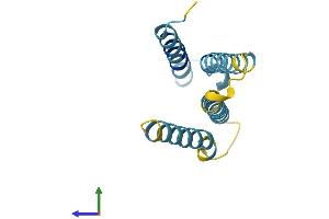 AlphaFold protein structure predicition of Mouse Recombinant Tmem60 Protein, UniprotID Q8K174 (TMEM60 Protein (AA 1-133) (His tag))