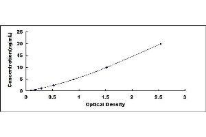 Typical standard curve (TP53BP1 ELISA 试剂盒)