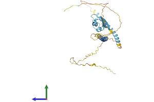 Protein Structure (PS) image for LysM, Putative Peptidoglycan-Binding, Domain Containing 3 (LYSMD3) (AA 1-306) protein (His tag) (ABIN7549140)