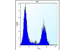 T Antibody (N-term) (ABIN656684 and ABIN2845922) flow cytometric analysis of  cells (right histogram) compared to a negative control cell (left histogram). (Tropomyosin 4 抗体  (N-Term))